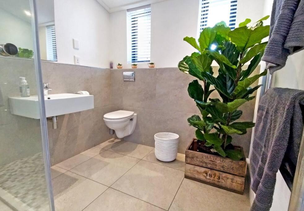 Central Modern Studio Apartment, Hermanus Waterfront Eksteriør billede